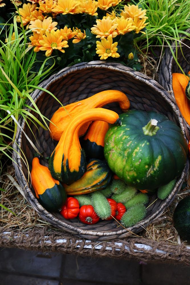 Photograph by Светлана Шуткова