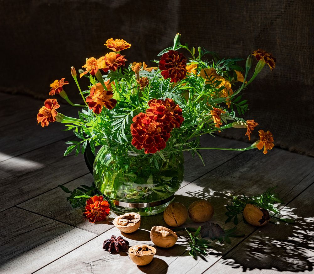 Photograph by Марина Леоненко