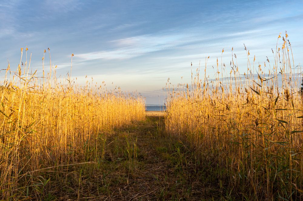 Photograph by Василий Богомолов