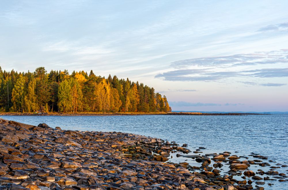 Photograph by Василий Богомолов