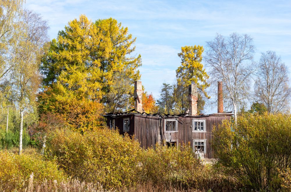 Photograph by Василий Богомолов