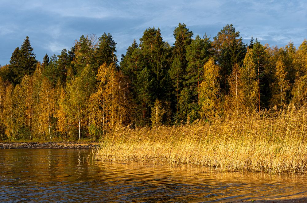 Photograph by Василий Богомолов