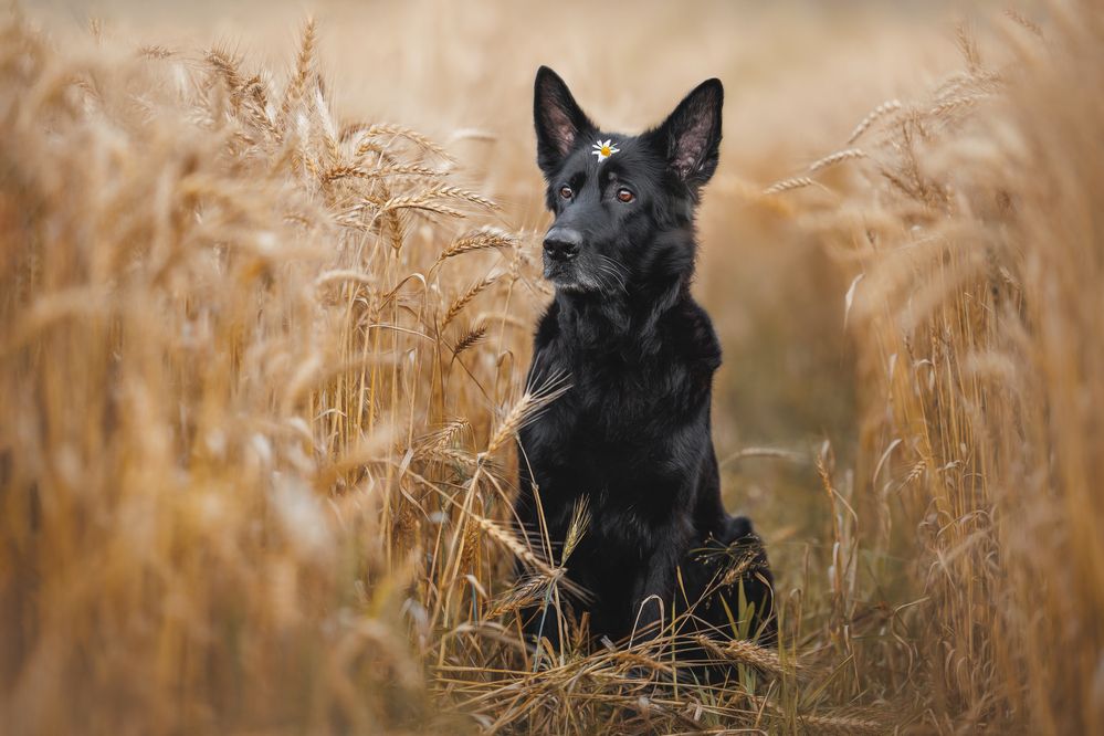 Photograph by Яна Нарбутович