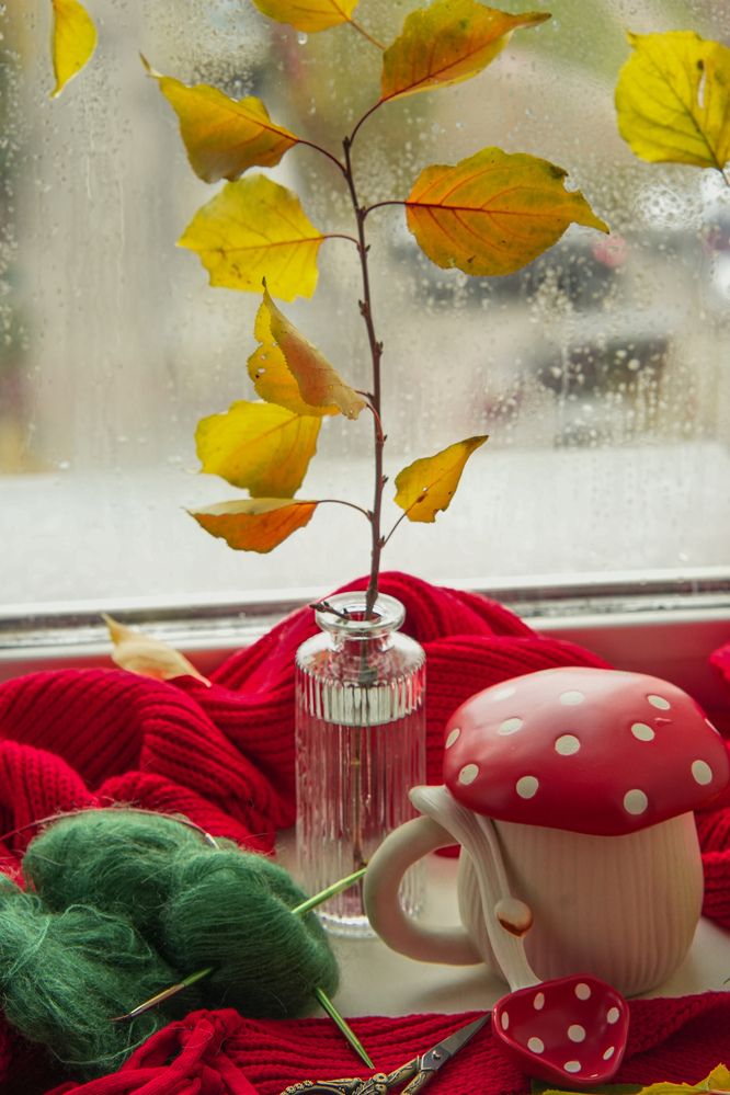 Photograph by Ольга Клименкова