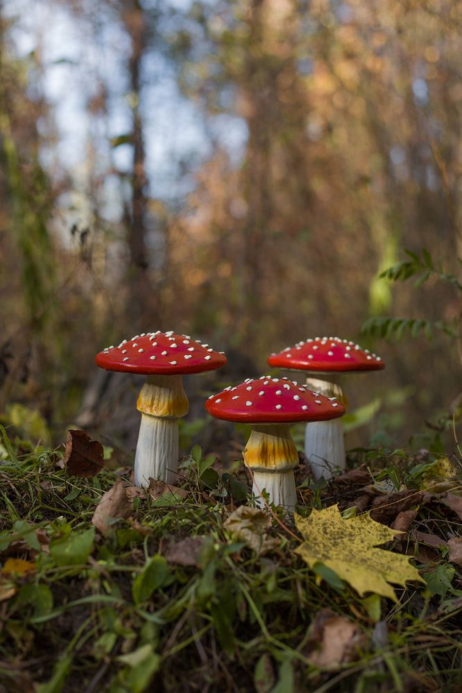 Photograph by Rimma Larkina