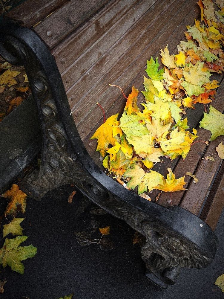 Фотография автора Natalya Firsova