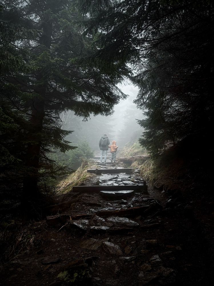 Fog Walkers