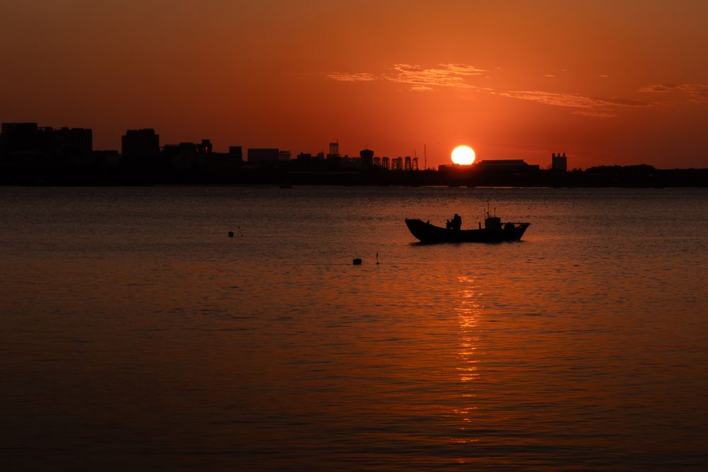 Фотография автора Gustavo Orellana