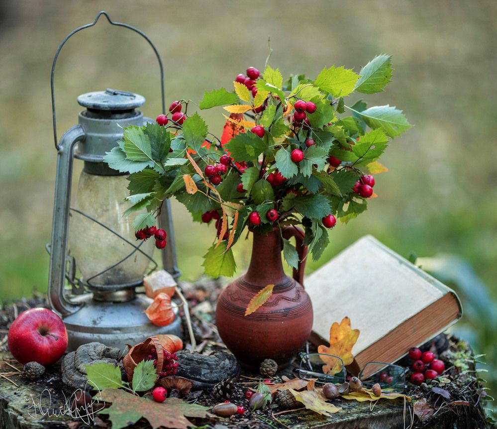 Осенний уют в кадре