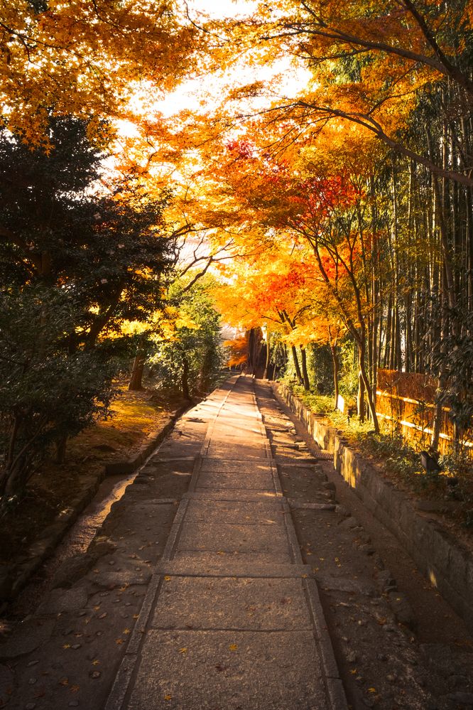 Фотография автора Gustavo Orellana