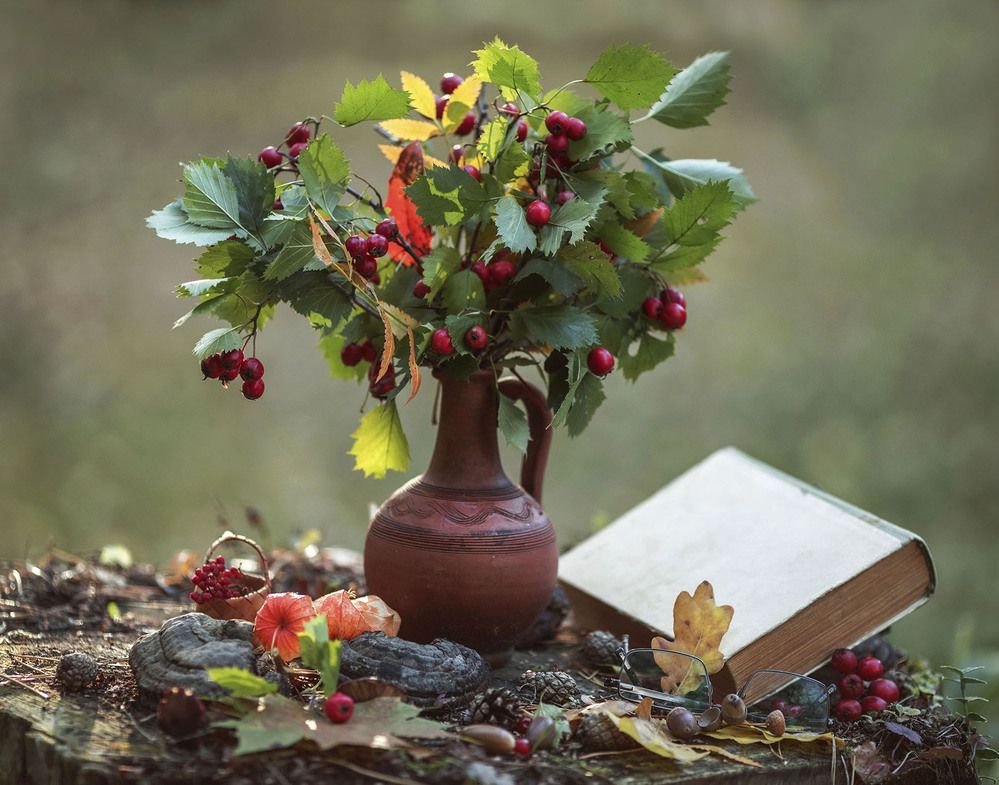 Осенняя палитра