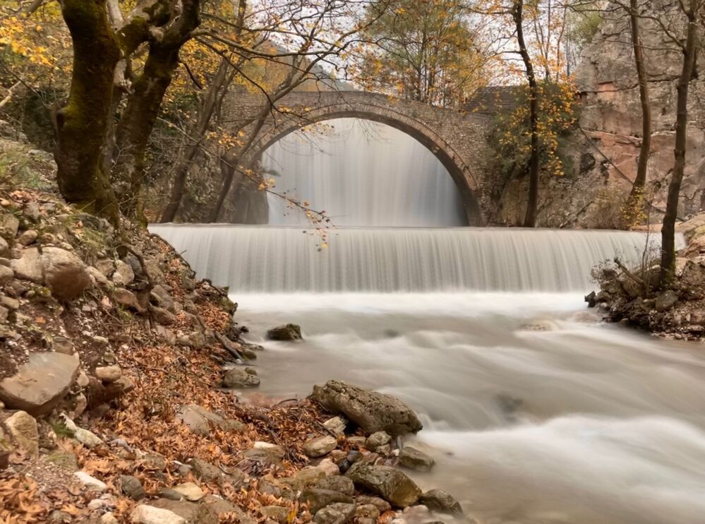 Фотография автора Одаренко Ольга