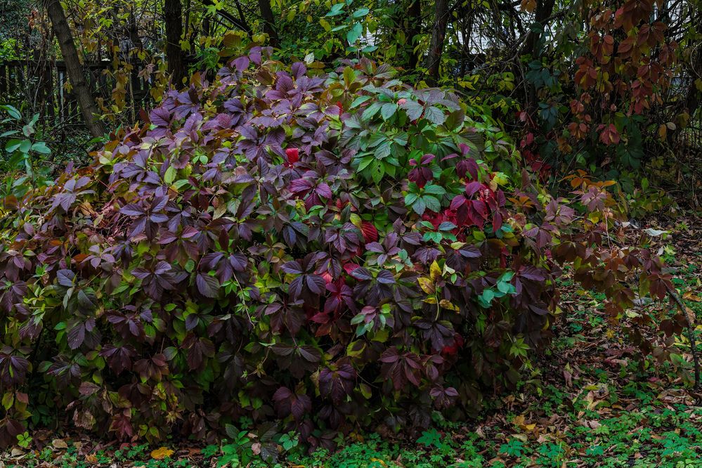 Photograph by Sergey M