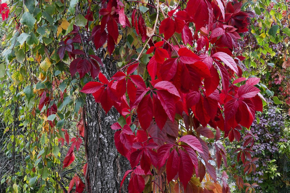 Photograph by Sergey M