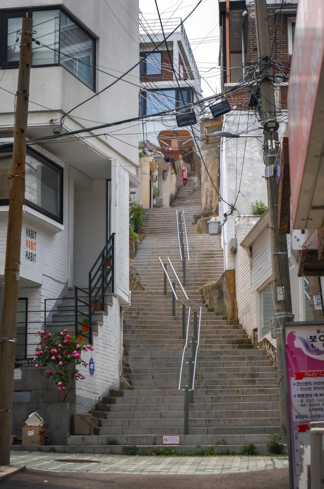 Фотография автора Gustavo Orellana