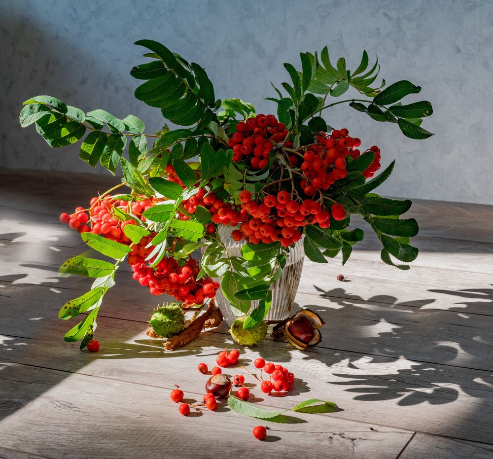 Photograph by Марина Леоненко