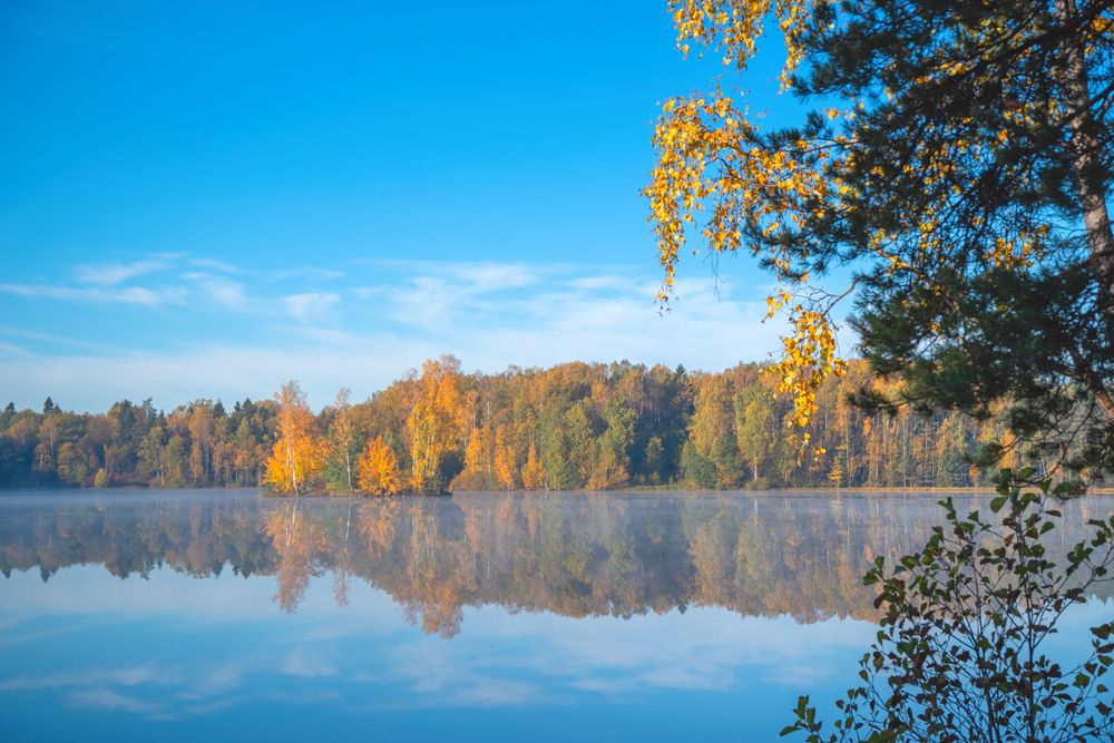 Photograph by Криволуцкий Вячеслав