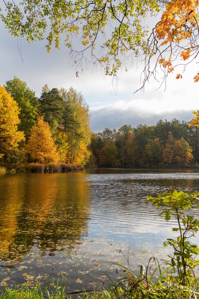 Photograph by Криволуцкий Вячеслав