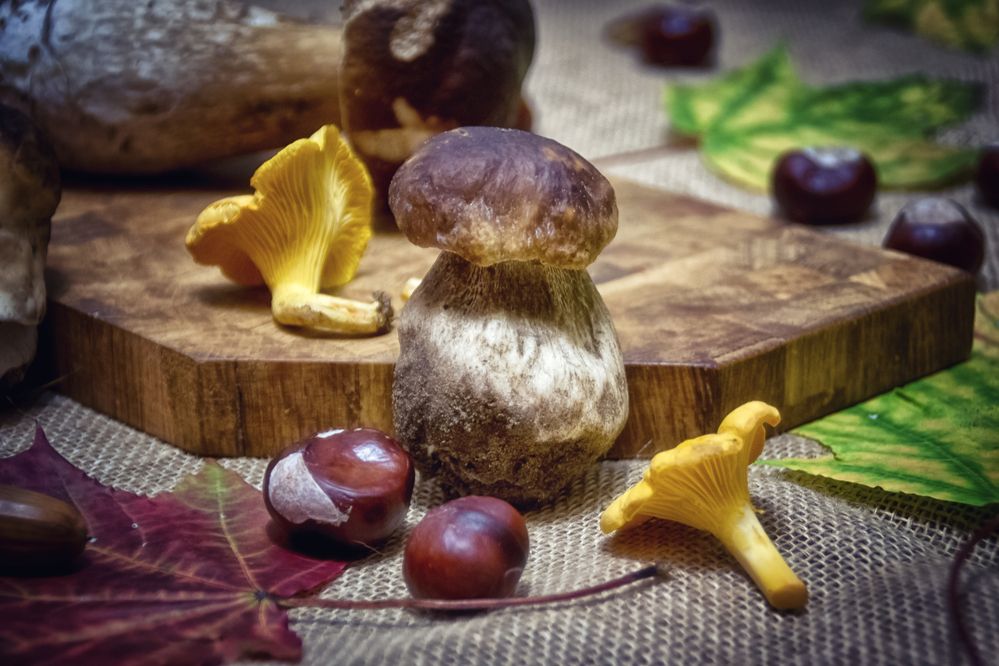 Фотография автора Юлия Кранина