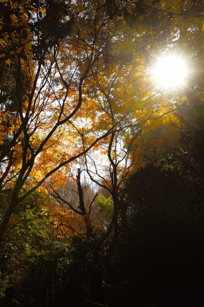 Фотография автора Gustavo Orellana