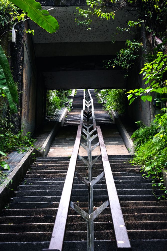 Фотография автора Gustavo Orellana