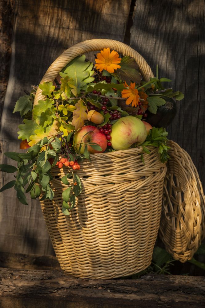 Photograph by Елена Перминова