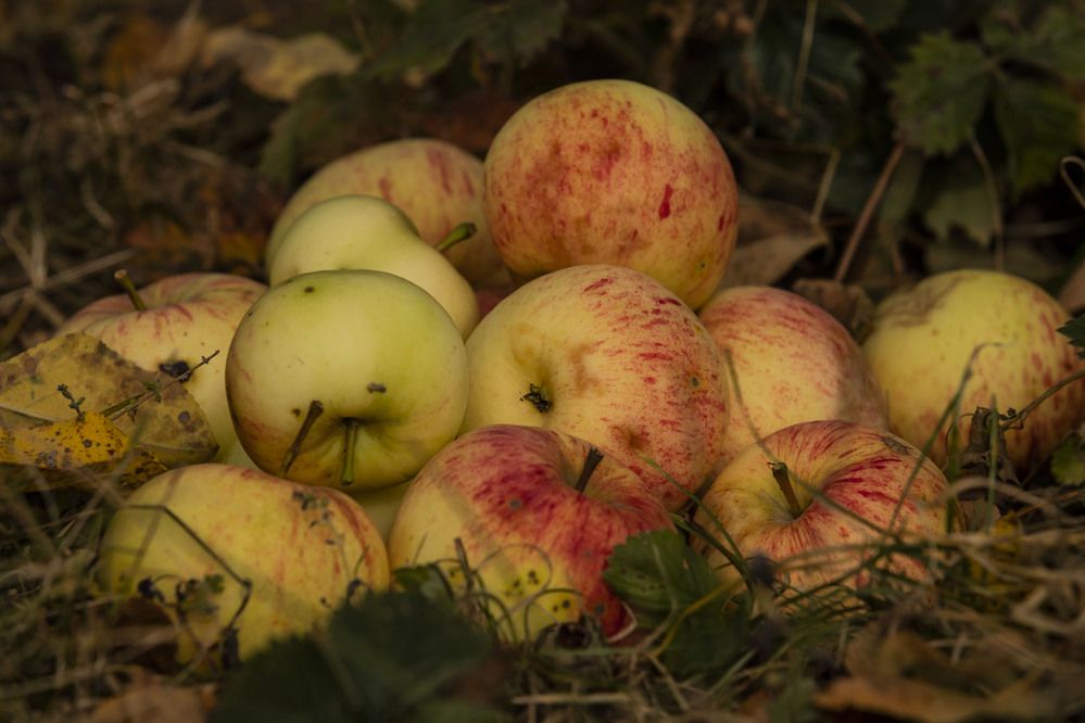 Photograph by Елена Перминова