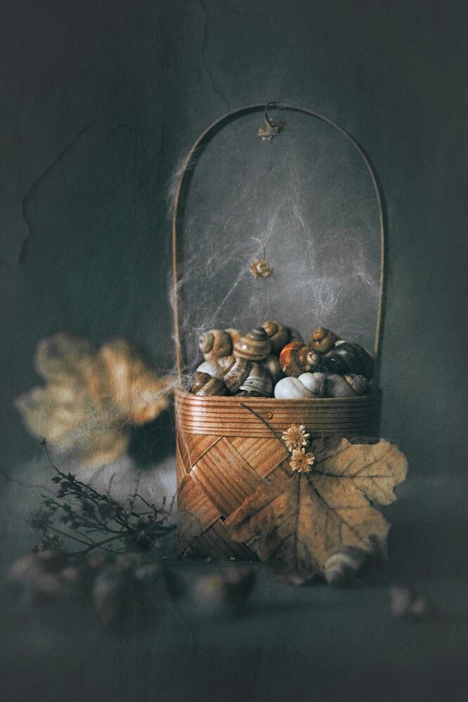 Photograph by Татьяна Максакова