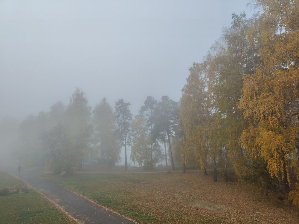 Photograph by Виталий Черепенькин