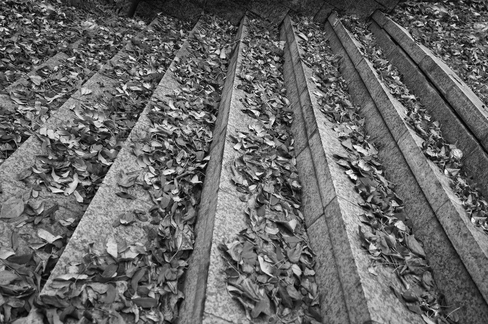 Photograph by Мишустина Татьяна