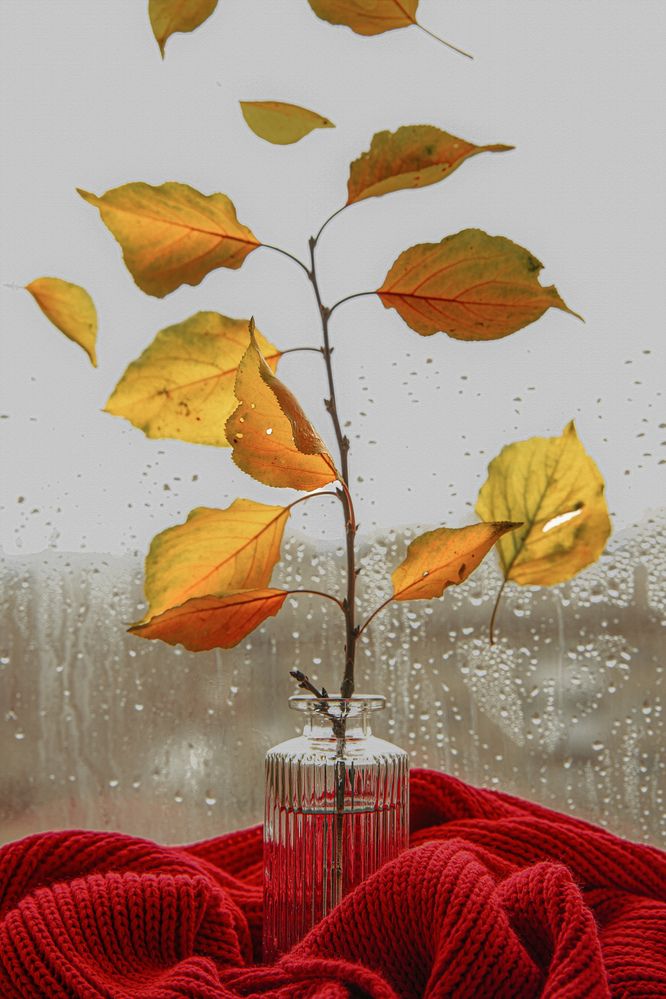 Photograph by Ольга Клименкова