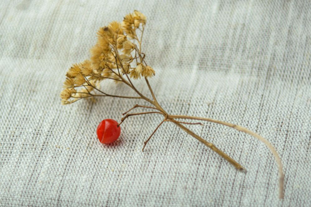 Photograph by Евгения Супрыгина