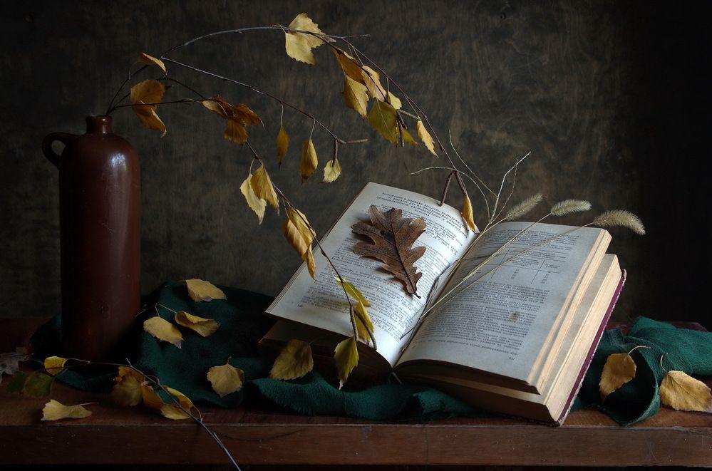 Photograph by Анатолий Святой