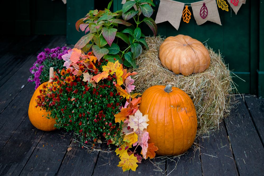 Photograph by Владимир Говоров
