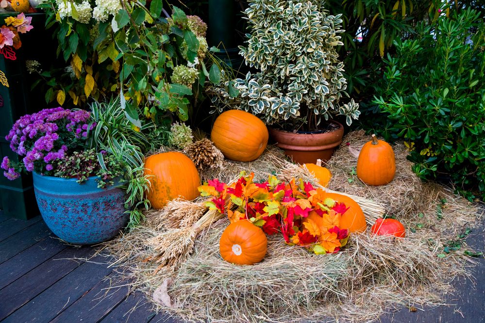 Photograph by Владимир Говоров