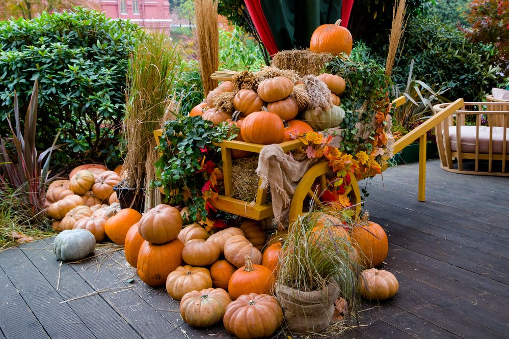 Photograph by Владимир Говоров