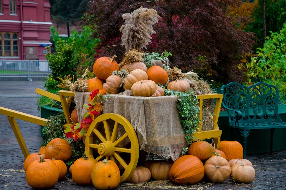 Photograph by Владимир Говоров