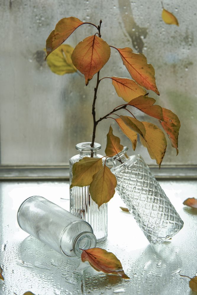 Photograph by Ольга Клименкова