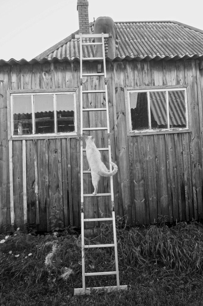 Photograph by Мишустина Татьяна