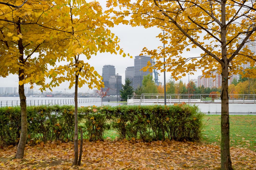 Photograph by Владимир Говоров