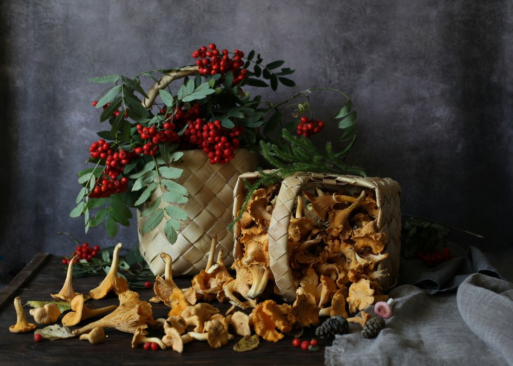 С лисичками