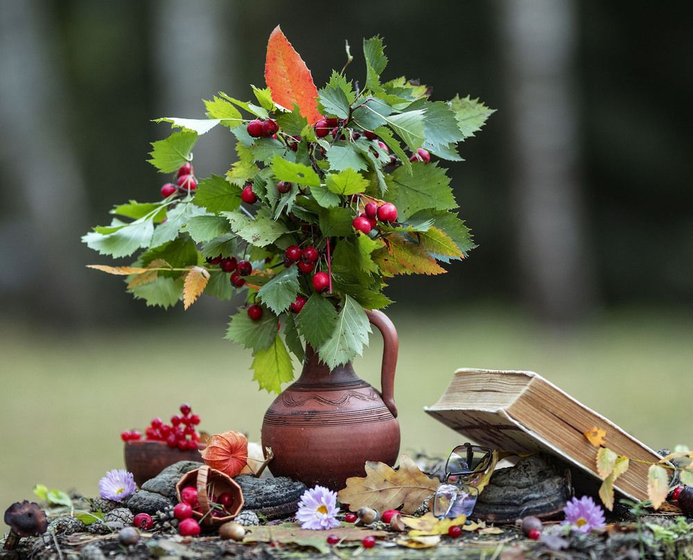 Осенний акцент