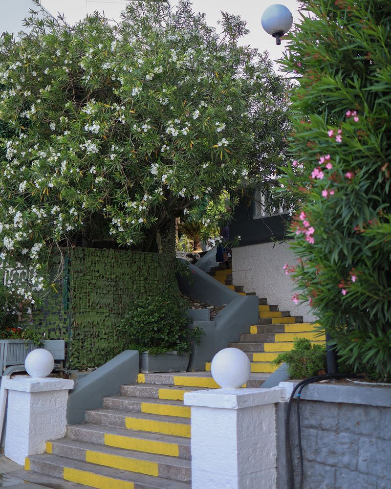 Photograph by Юлия Александровна