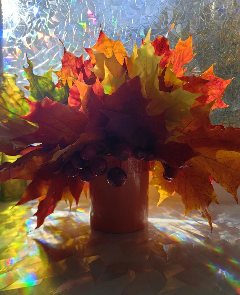 Фотография автора Maiya Bulatova