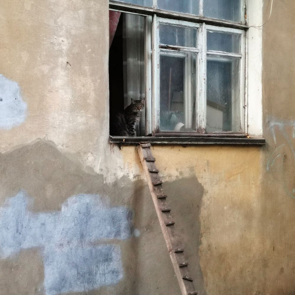 Фотография автора ТАТЬЯНА ЗАХАРОВА