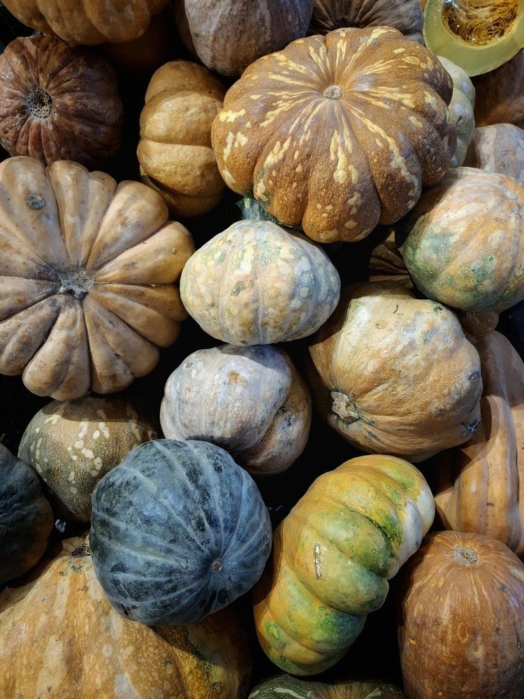 Фотография автора Asya