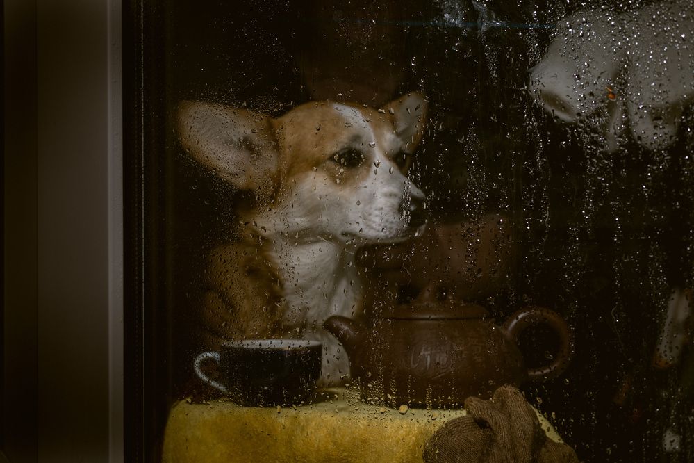 Photograph by Елена Попова