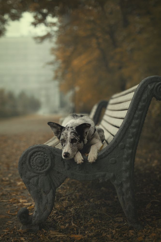 Autumn