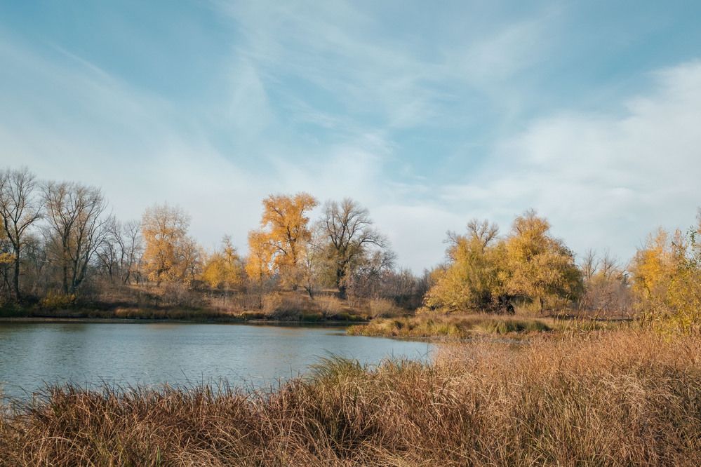 Photograph by Олег Дорошенко