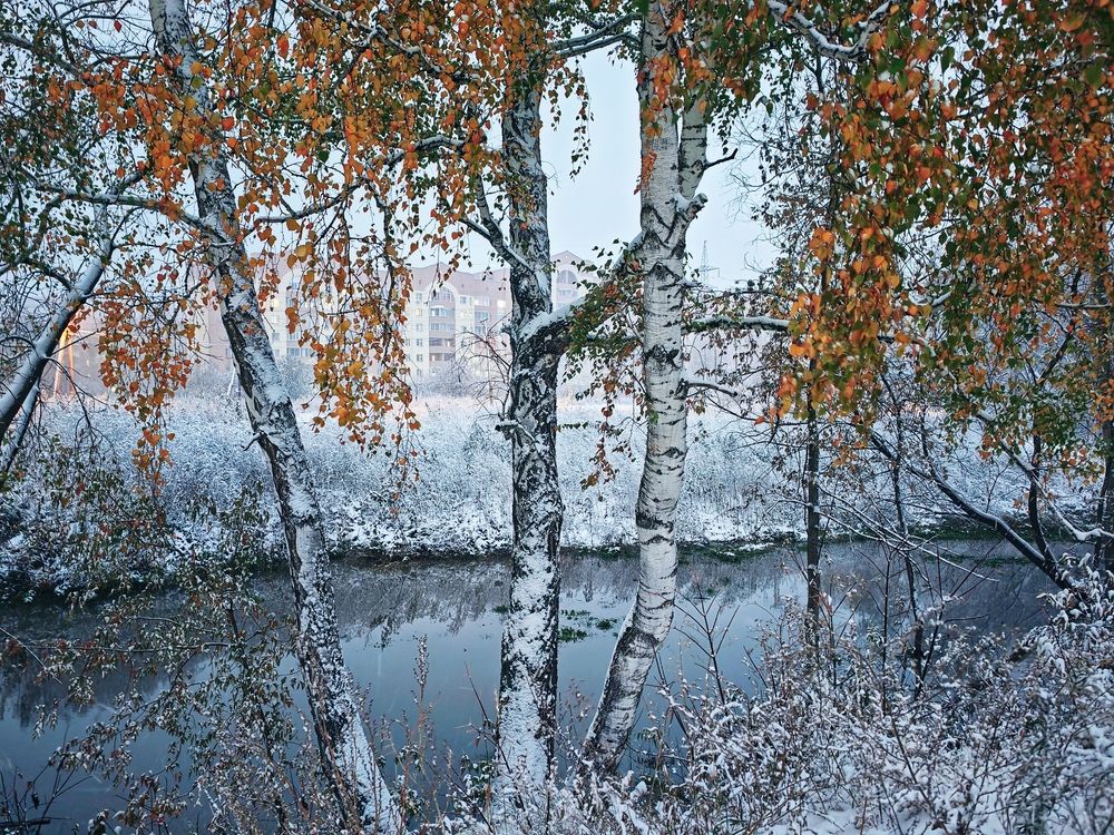 Фотография автора Юлия Есина